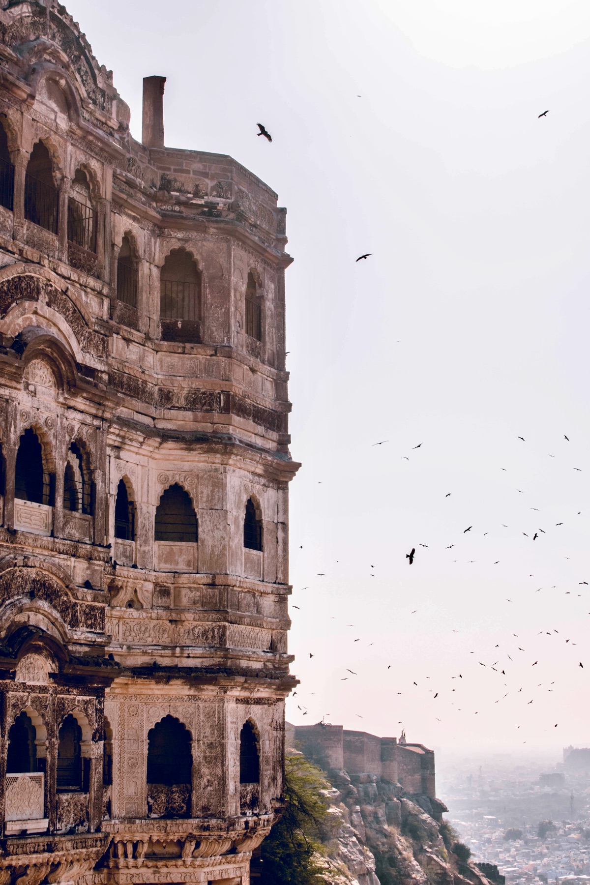 Jodhpur — rooftops at last light